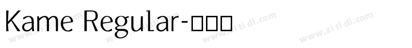 Kame Regular字体转换